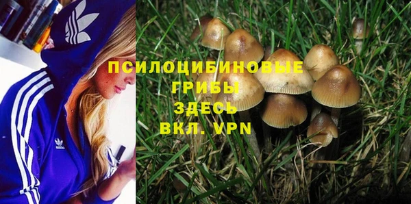 гашиш Абаза