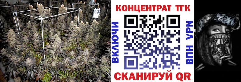 shop официальный сайт  хочу наркоту  Темников  Дистиллят ТГК THC oil 