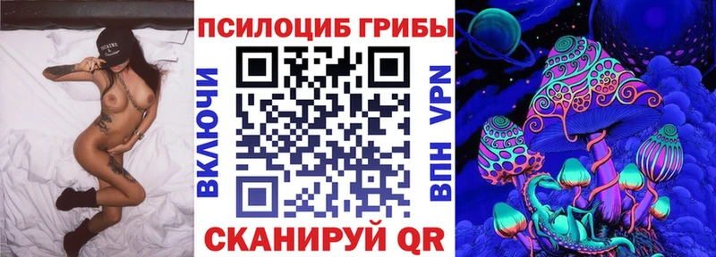 Псилоцибиновые грибы Psilocybine cubensis  закладки  blacksprut онион  Темников 